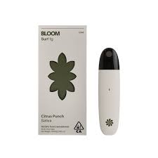 Photograph of product: Bloom / Dispo / Citrus Punch Live