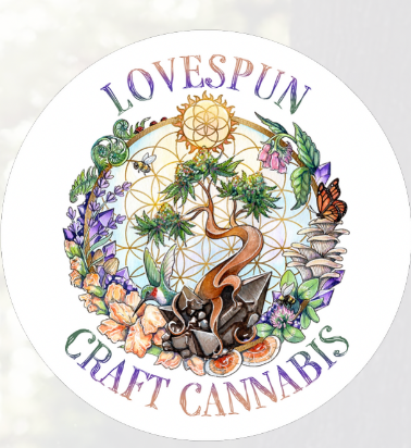 Photograph of product: Lovespun's Banana Punch - Pre Roll