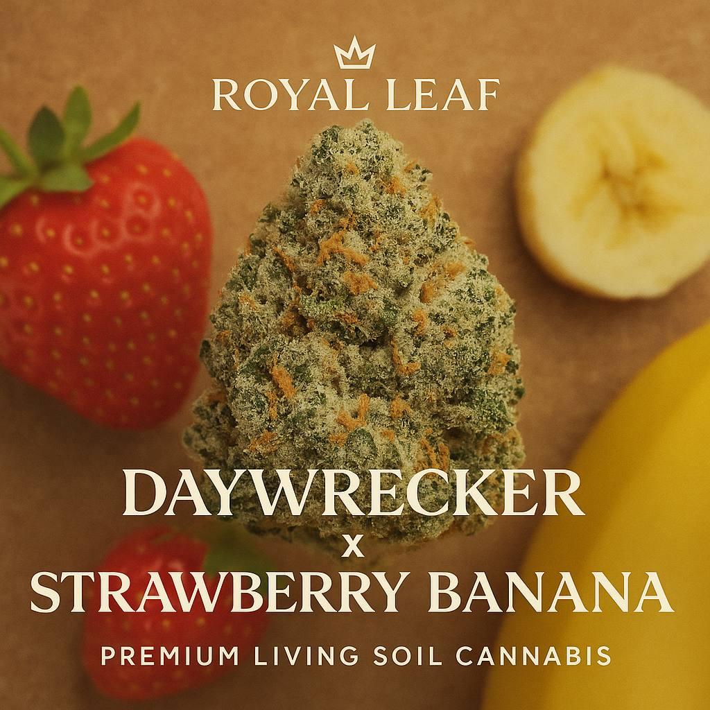 Photograph of product: Daywrecker x Strawberry Banana | Flower | 3.5G