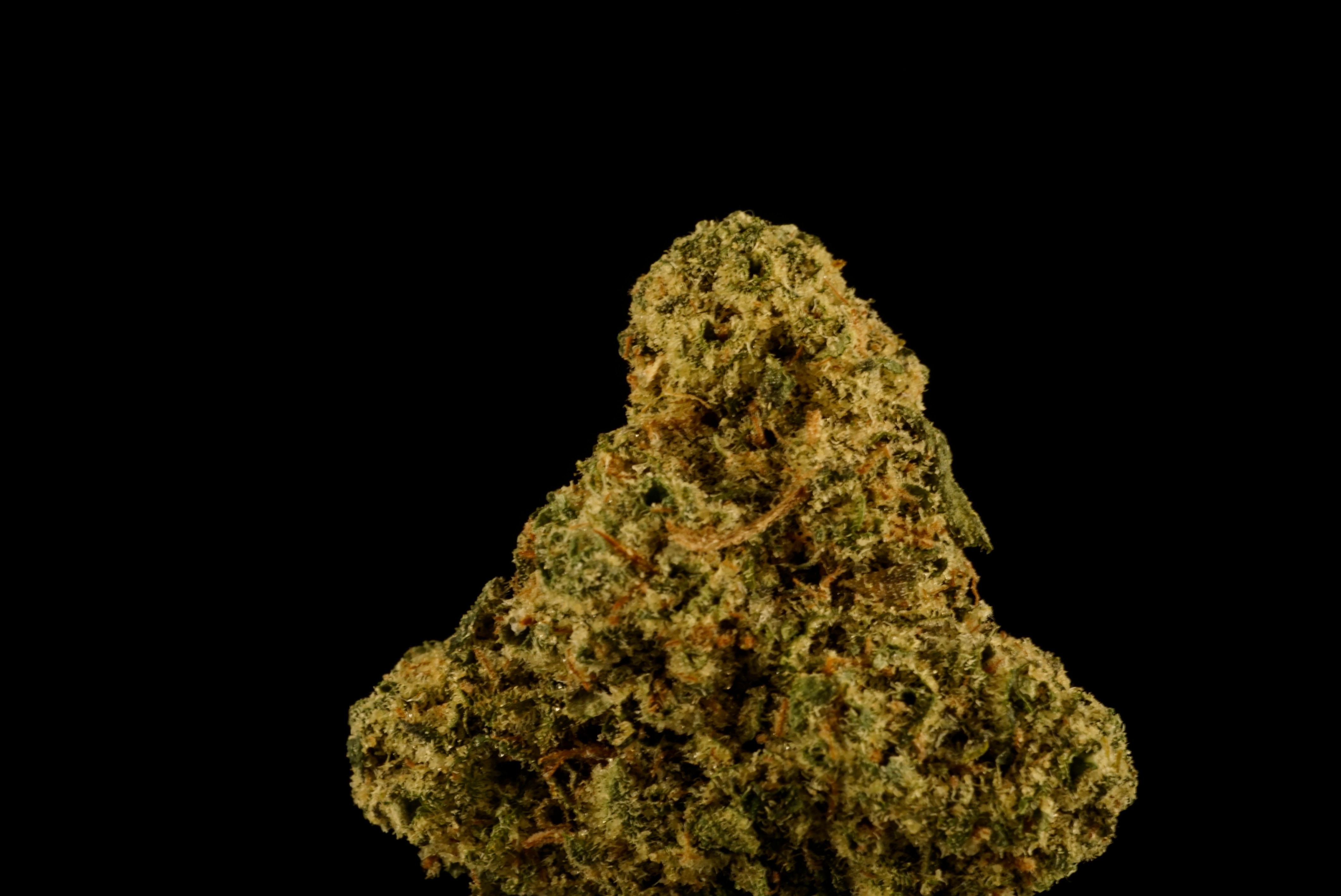 Photograph of product: Cuban Empanada - 28g