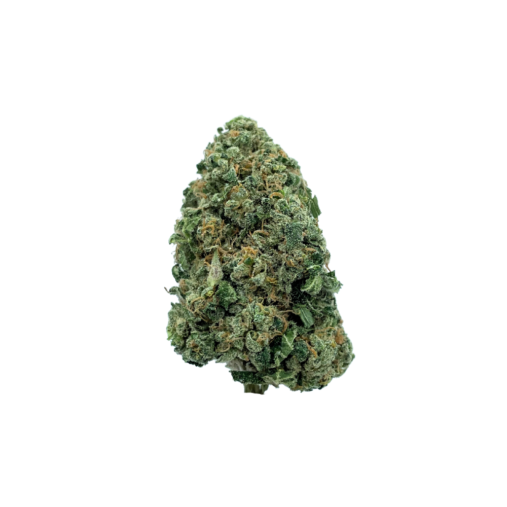 Photograph of product: Lemon Fresh Buds 3.5