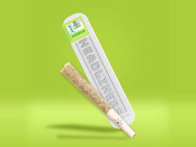 Photograph of product: Headliners | Forza | Pre Roll