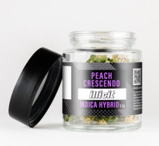 Photograph of product: Peach Crescendo - Flower 3.5g