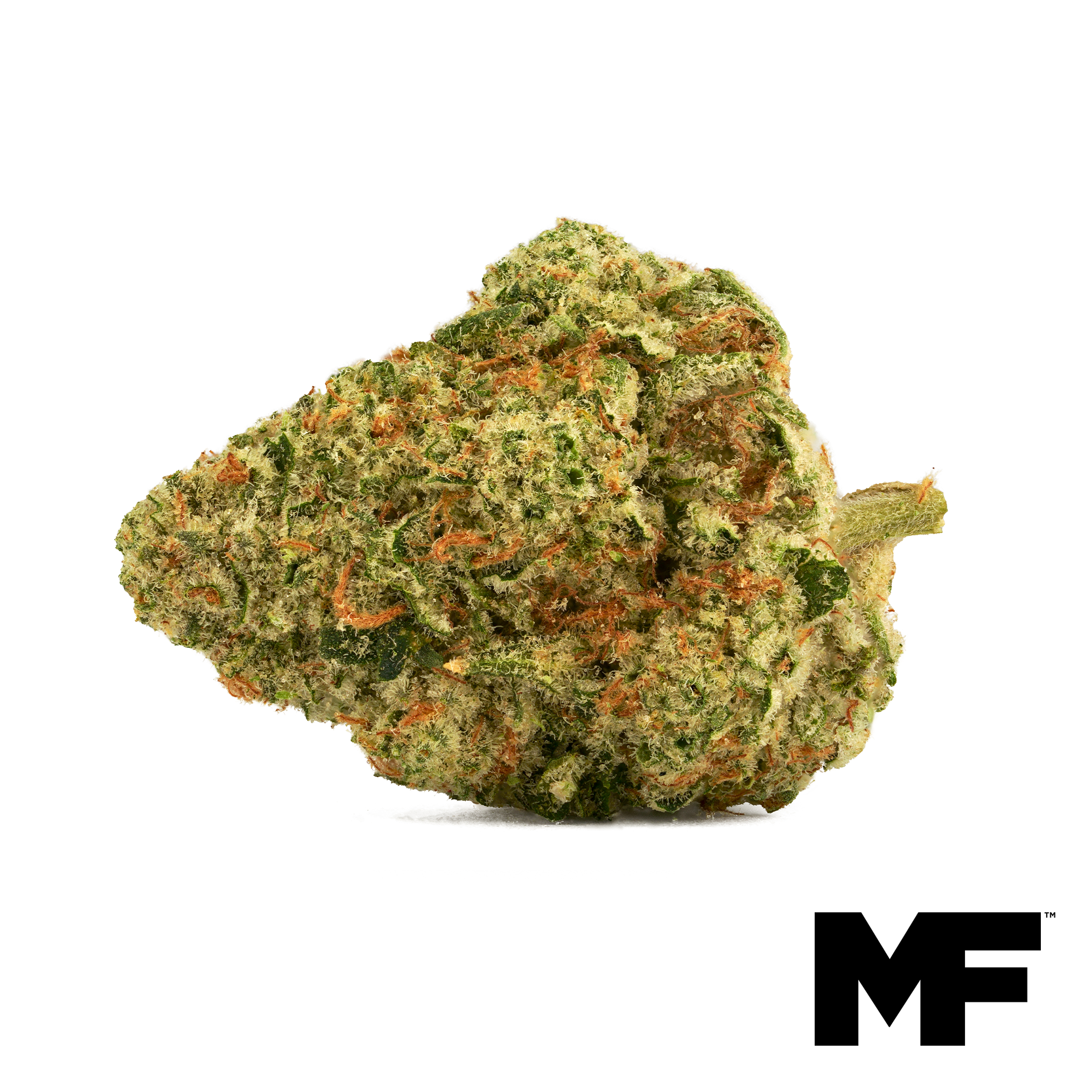 Photograph of product: Biscotti | 3.5g