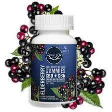 Photograph of product: WYLD | HEMP CBD ELDERBERRY