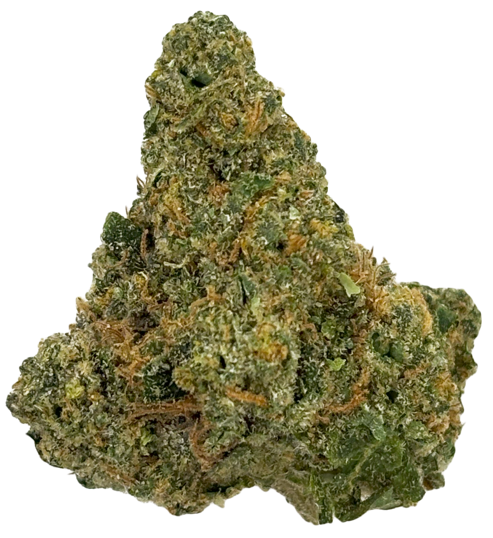 Photograph of product: Common Citizen | Gotti | Deli Flower - 1g