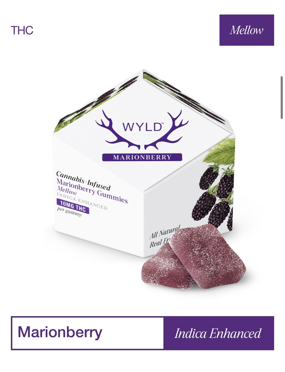 Photograph of product: Marionberry | 10mg | 10ct