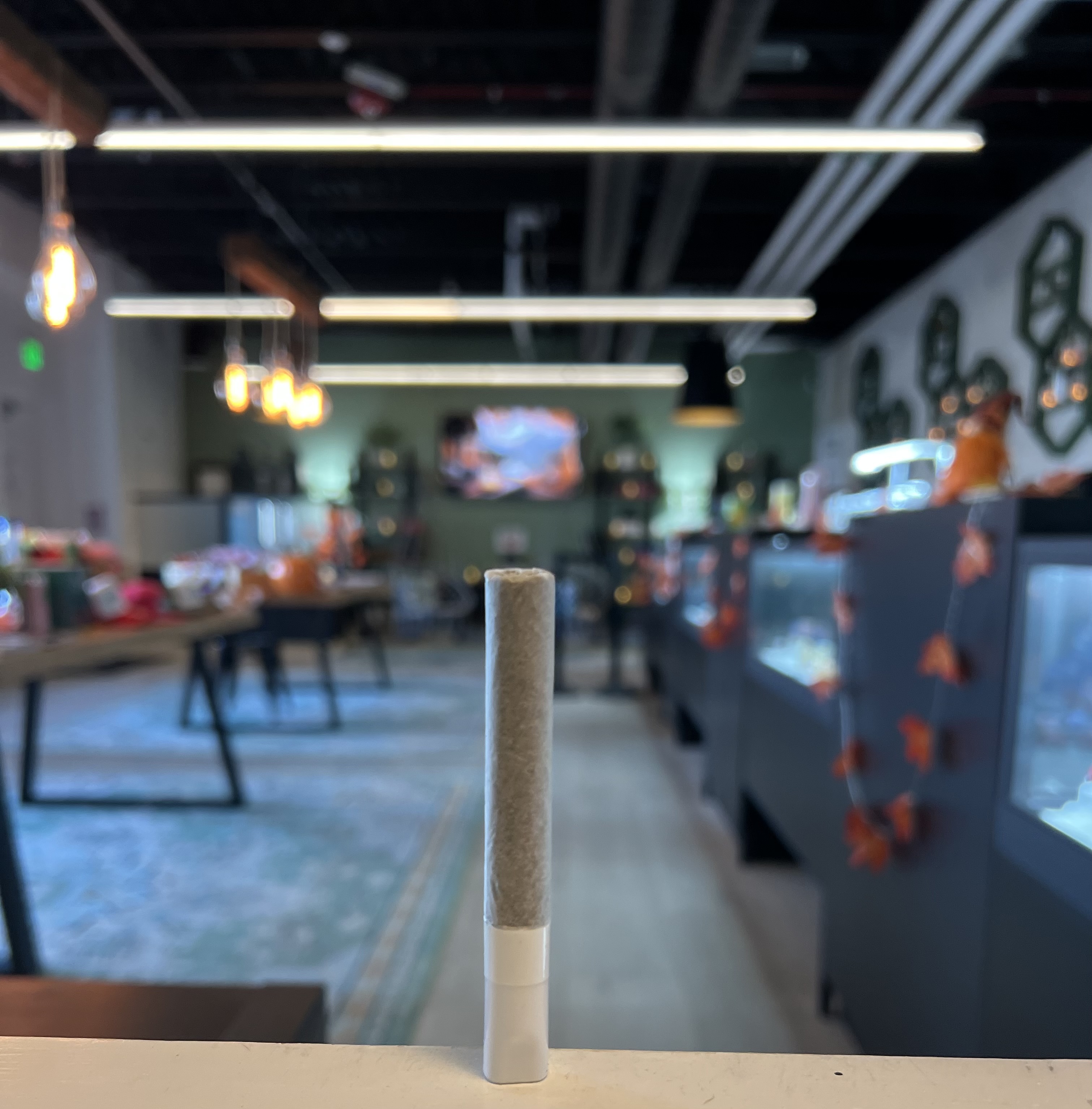 Photograph of product: Lemon Diesel - Infused XL Lobster Roll