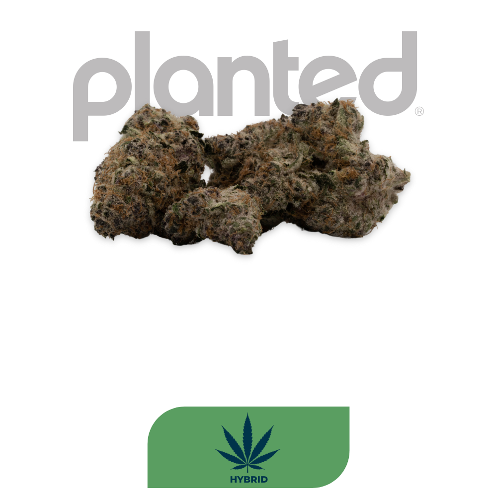 Photograph of Product: REDBUD ROOTS | MOTOR MILK | HYBRID | DELI-FLOWER | REC - 1g