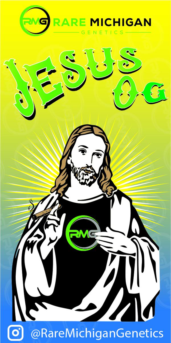 Photograph of product: Rare Michigan Genetics - Jesus OG Bulk