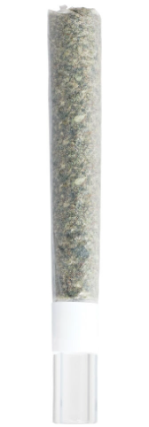 Photograph of product: Pancakes | LifeStylez | Pre-roll