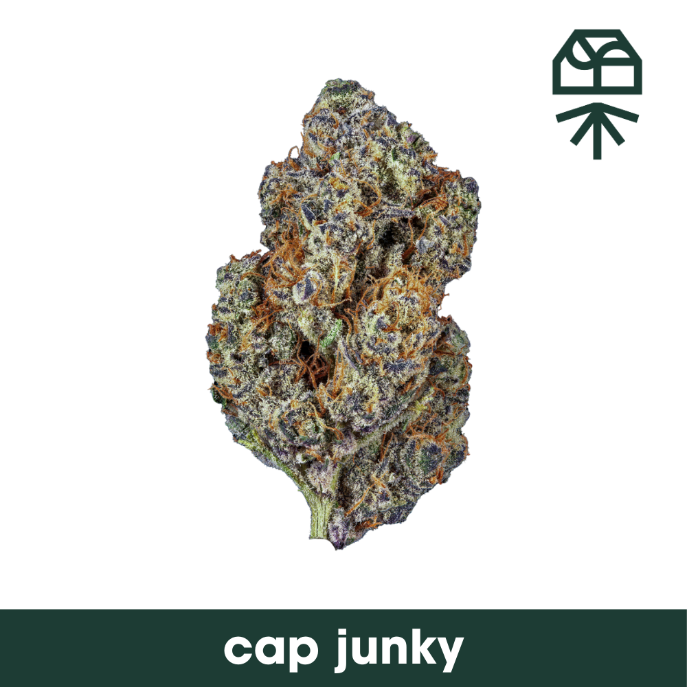 Photograph of product: Cap Junky Popcorn - 14g