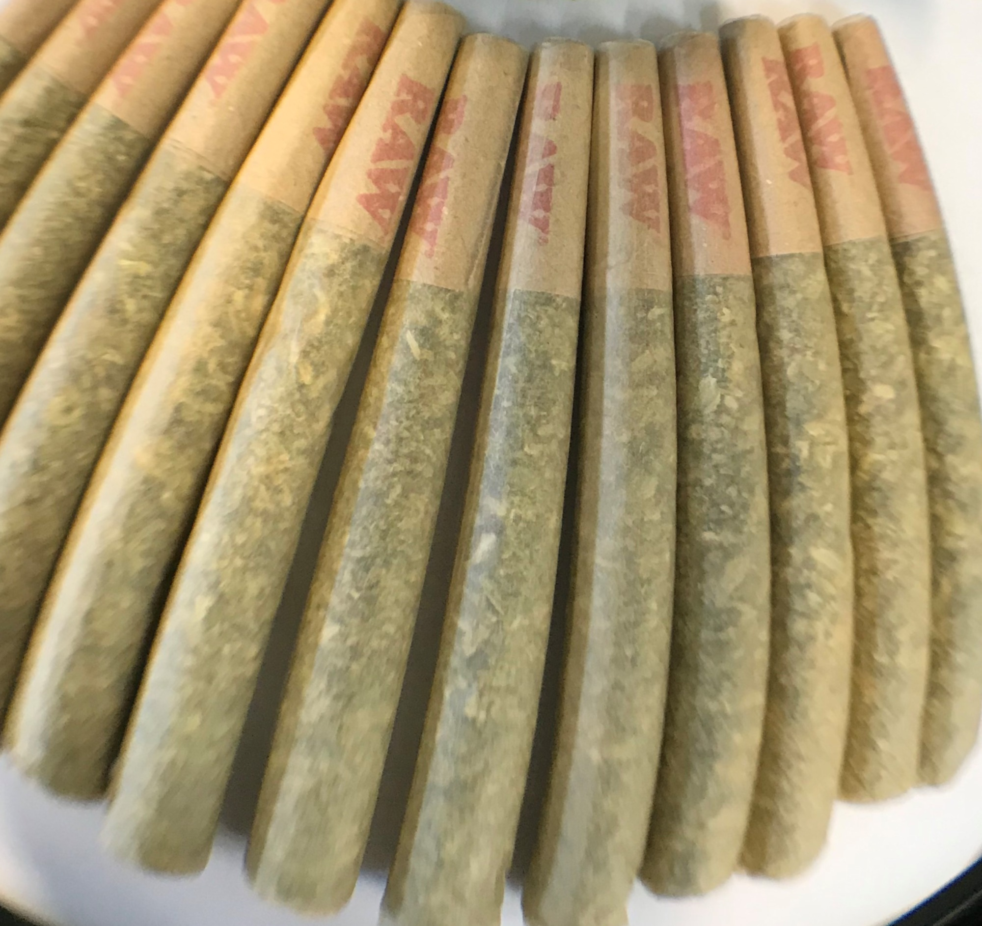 Photograph of product: Ghost Train Haze | 1.9.25 | TPR | 5pk | SD