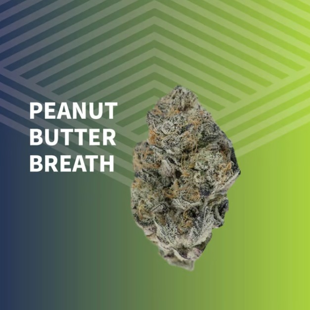 Photograph of product: Peanut Butter Breath Whole Flower - 3.5g