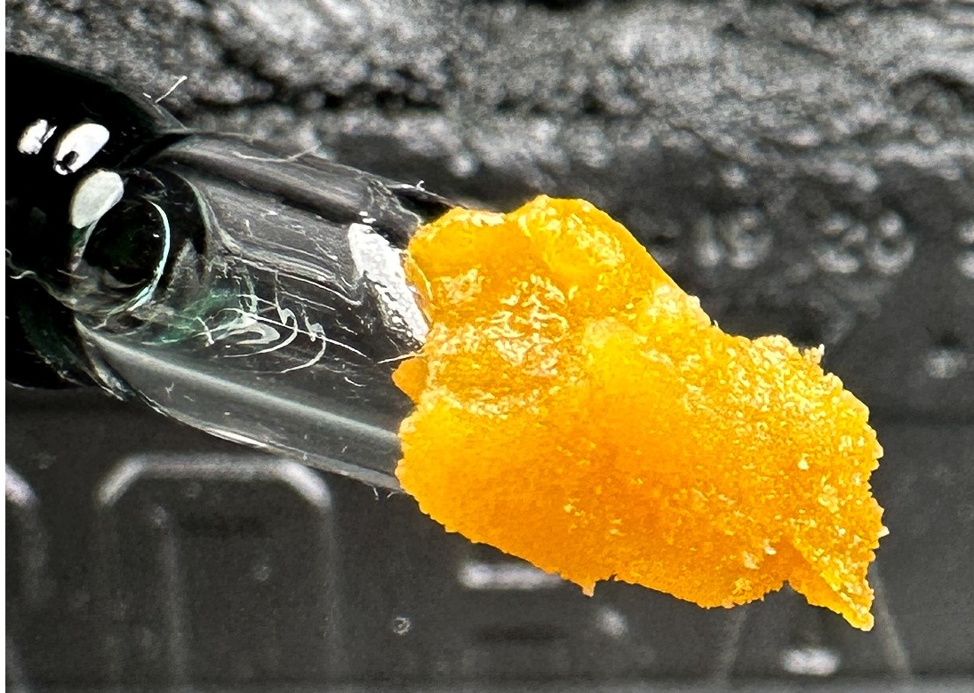 Photograph of product: Live Resin | Girl Scout Cookies