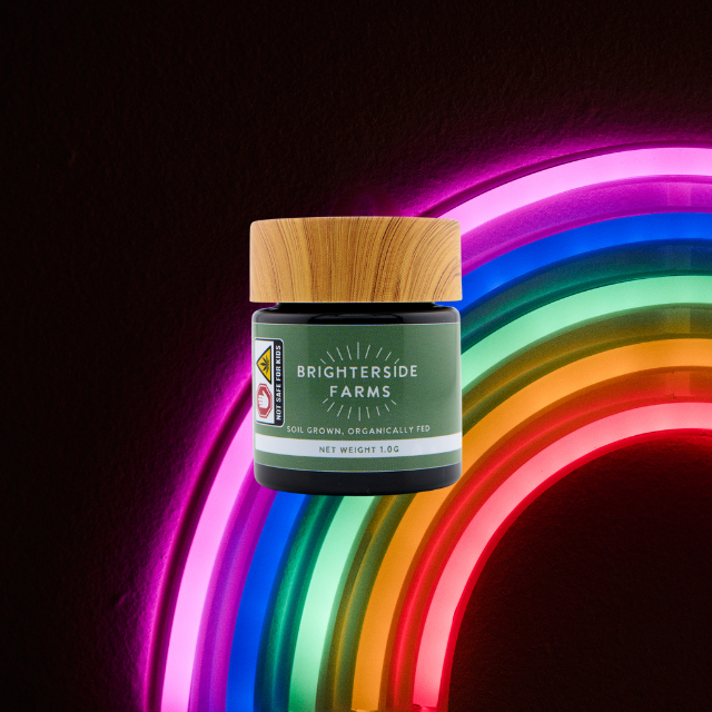 Photograph of product: FLOWER | DARK RAINBOW | 1G