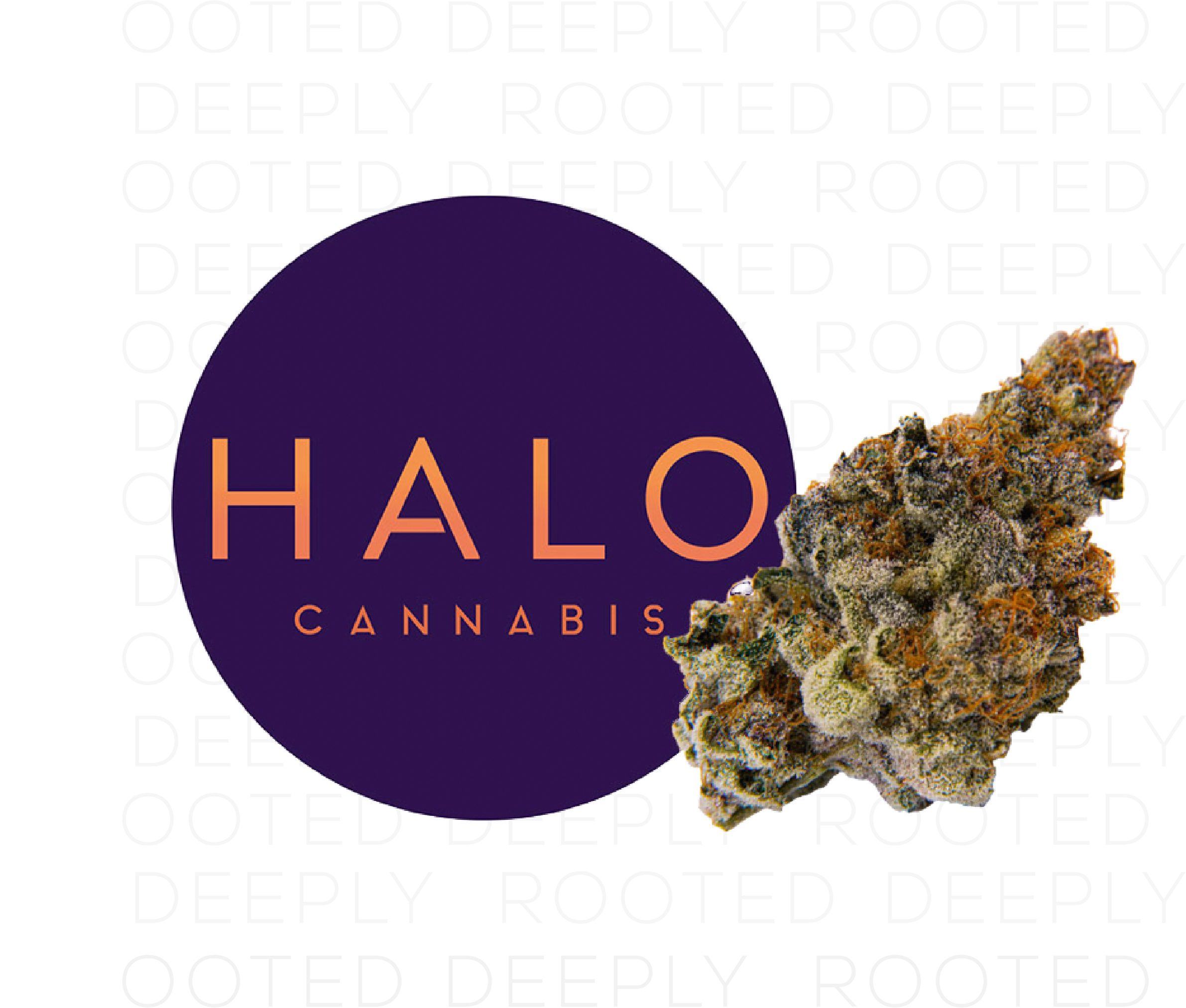 Photograph of product: Halo Oui'd Flower Mylar | L.A Baker - 3.5g