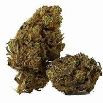 Photograph of product: Bigfoot Glue 1/8 - 3.5g