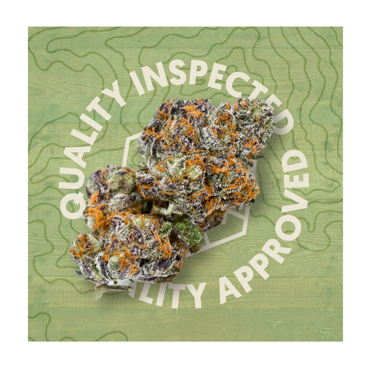 Photograph of product: QR Brands - Sour Mintz - 28g