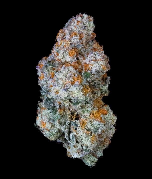 Photograph of Product: B Yo Whole Flower T29.20 (10-00248) - 3.5g