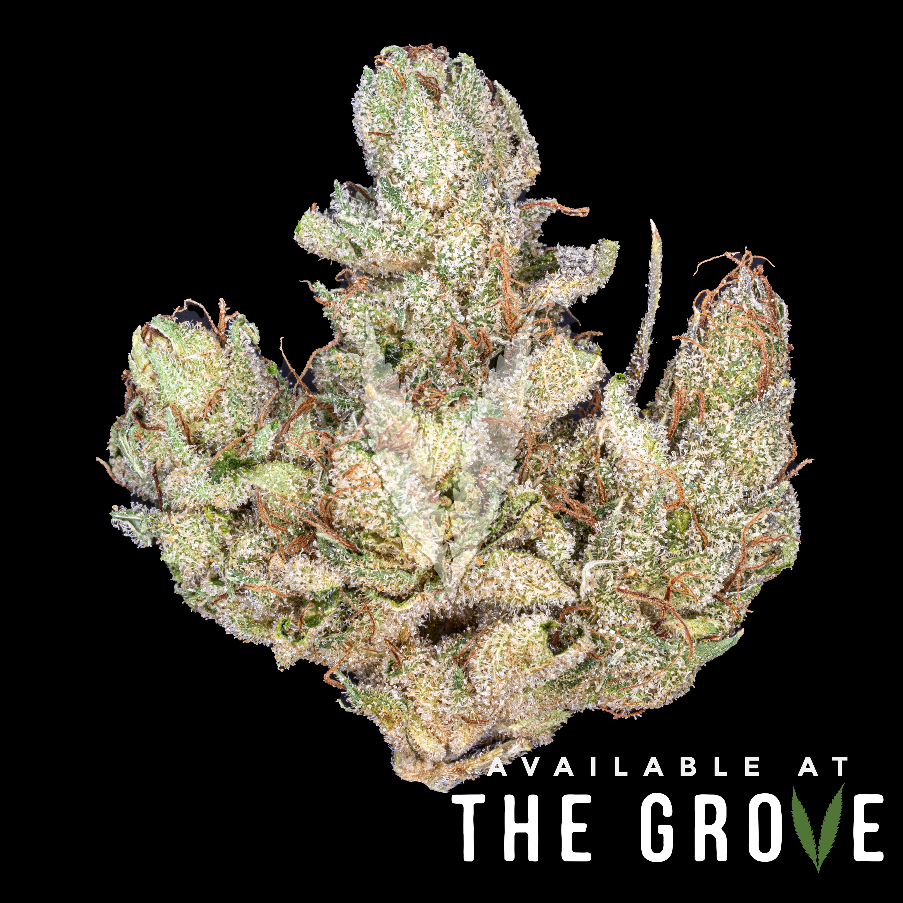Photograph of Product: Kush Company |  Double Down OG 1/8th - 3.5g