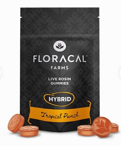 Photograph of Product: Tropical Punch - Live Rosin Gummies