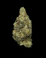 Photograph of product: Robust Tahiti Lime | 3.5g