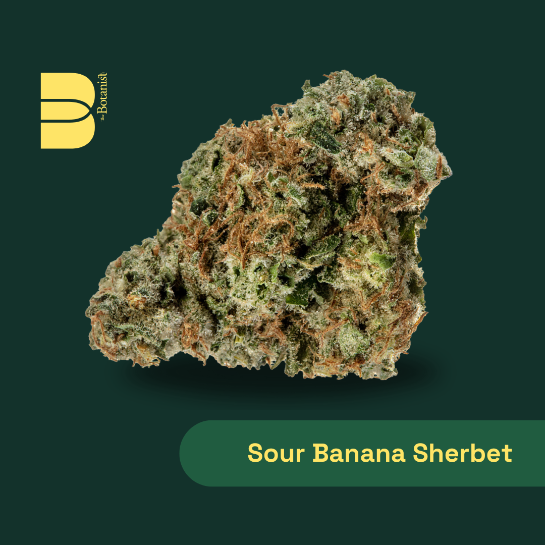 Photograph of product: The Botanist | Sour Banana Sherbet - 14g