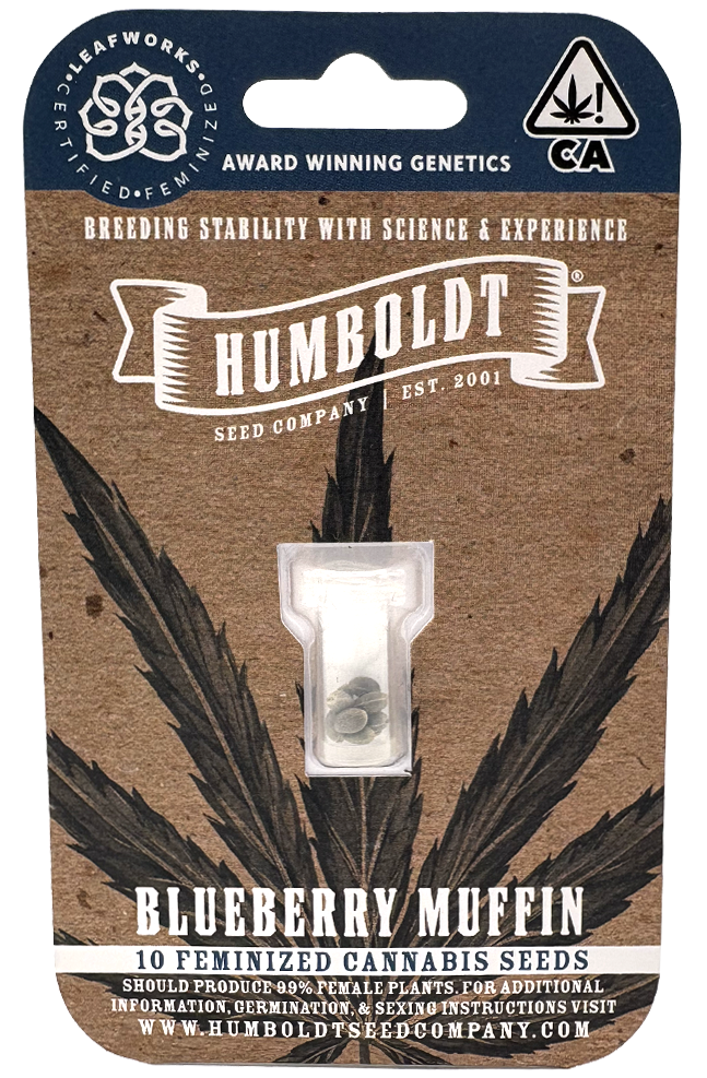 Photograph of product: Humboldt Seed Co | Trainwreck | 10PK Feminized Seeds