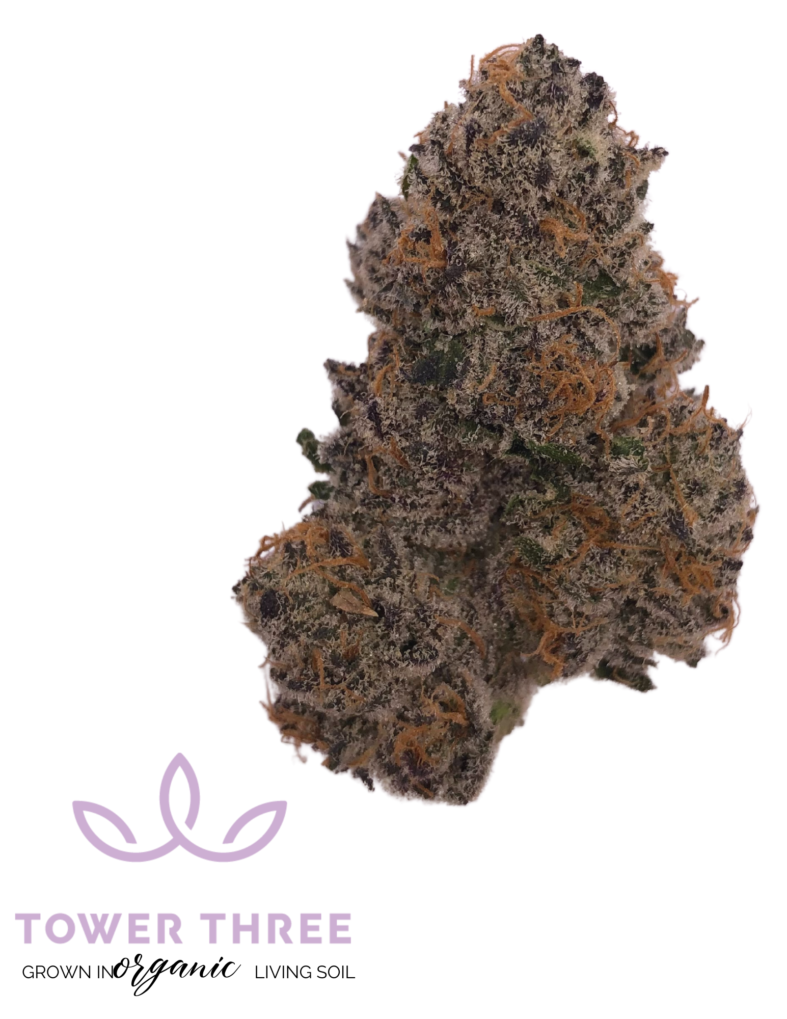 Photograph of product: Half Pint | 3.5g