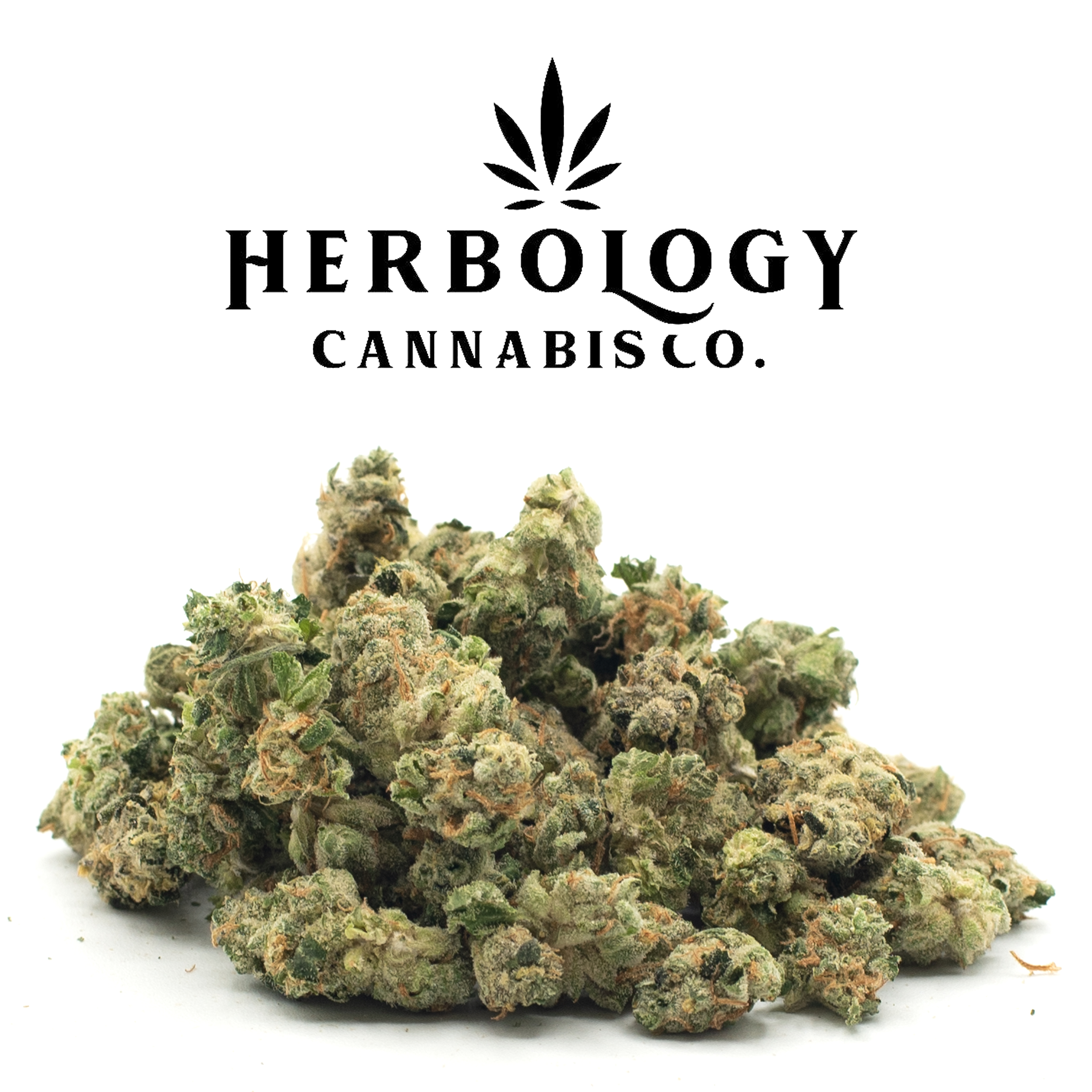 Photograph of product: Carbon | Oh Geez | Smalls | Deli - 28g
