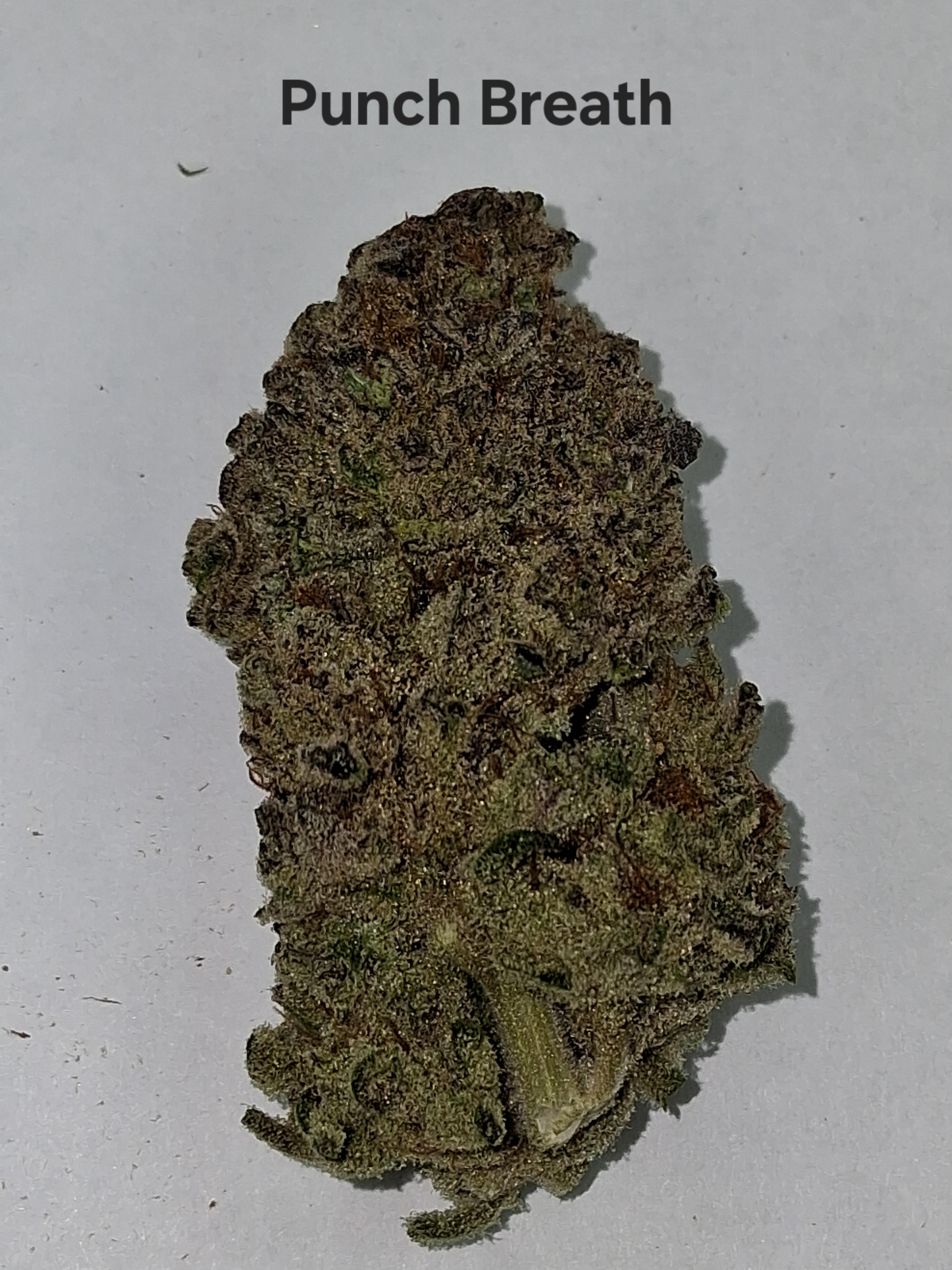 Photograph of product: Punch Breath A Bud/Top Shelf-Greenway Farm - 28g