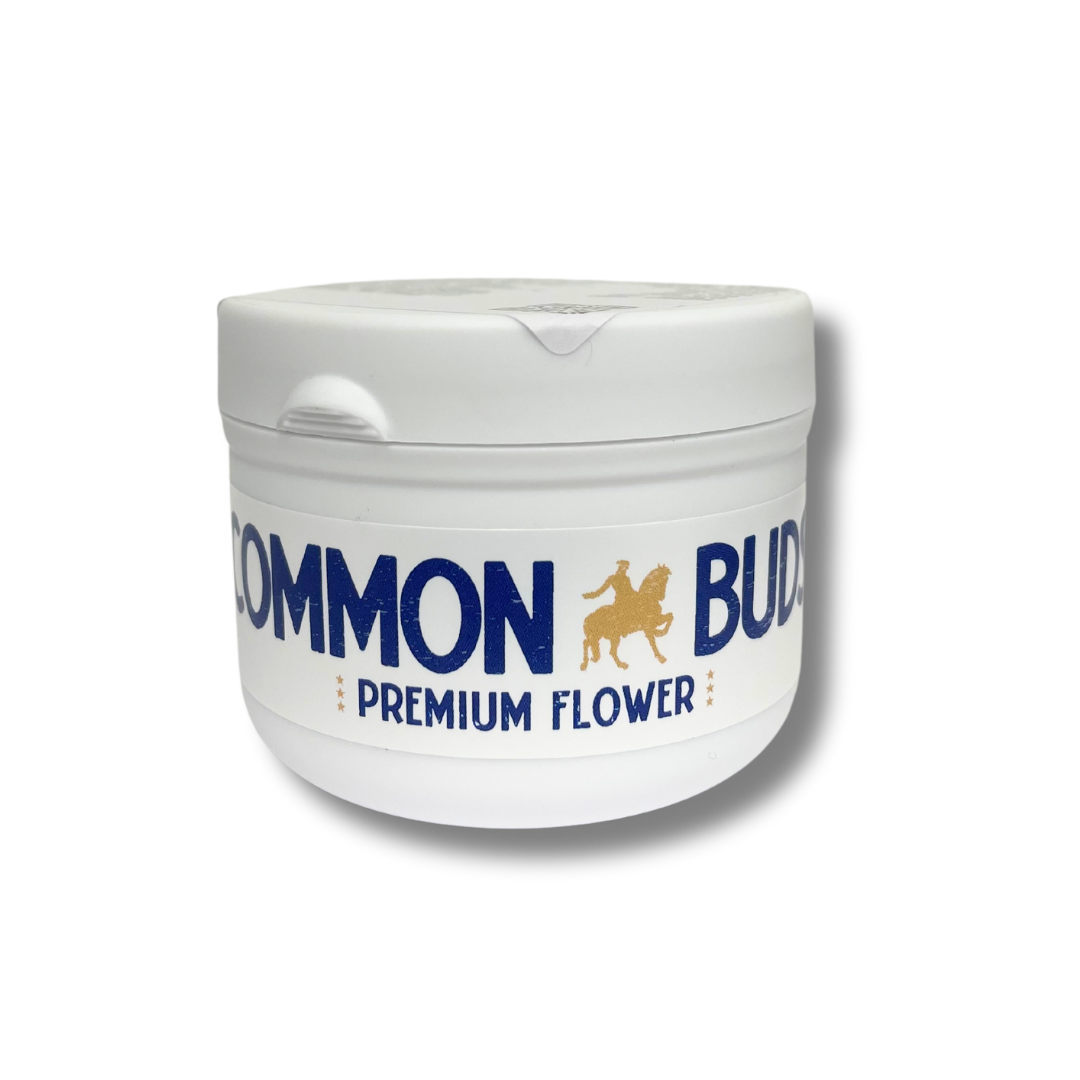 Photograph of product: Small Buds | Lip Gloss - 7g