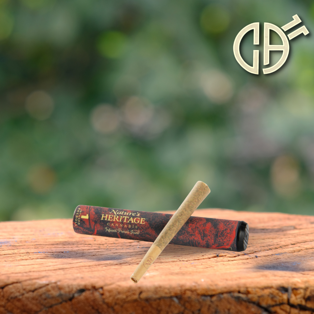 Photograph of product: NH | Guicy Banger Infused Pre-Roll
