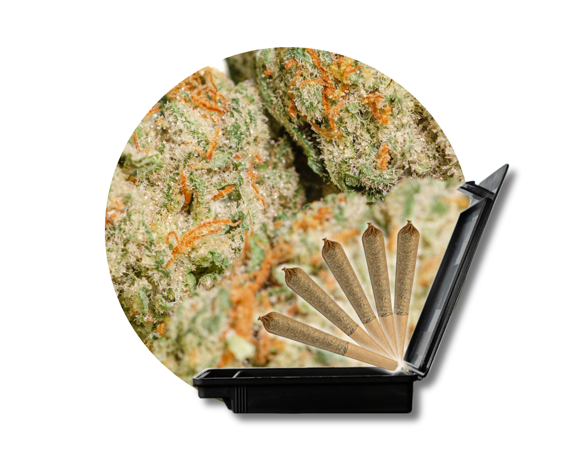 Photograph of product: High Tides-Peach Panther 5ct Pre-Rolls