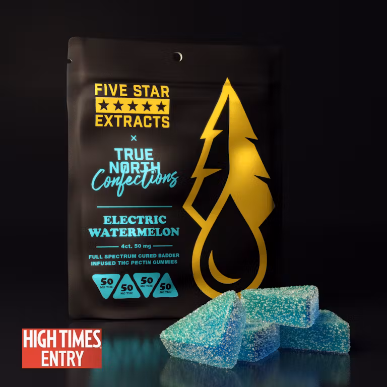 Photograph of product: Electric Watermelon Full Spectrum Vegan Gummies | True North Confections | 200mg (3/$20)
