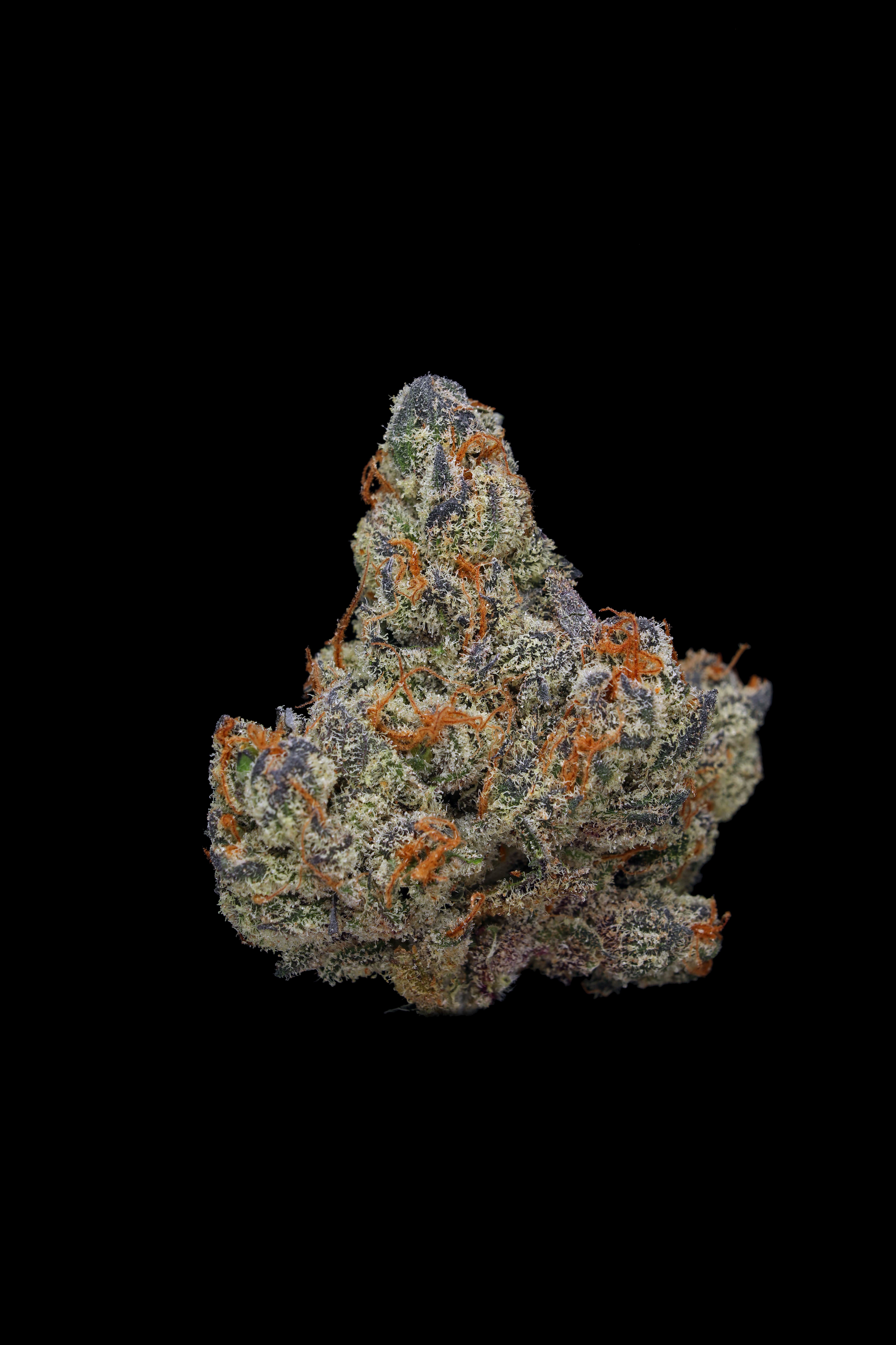 Photograph of product: Small Bud | Orange Push Pop - 7g
