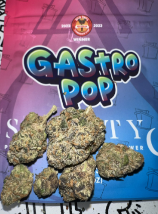 Photograph of product: Gastro Pop | Society C | Bulk Flower - 28g