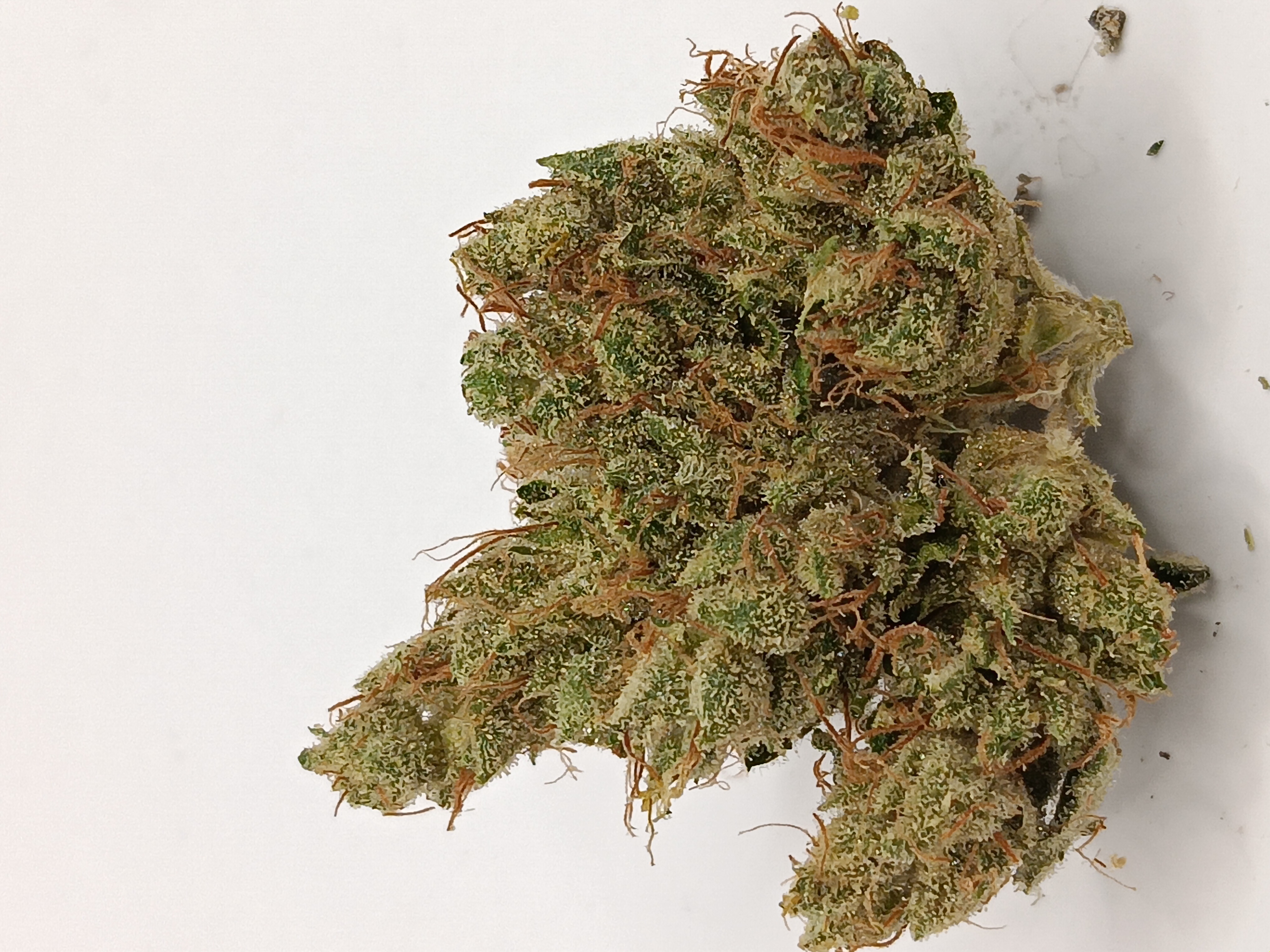 Photograph of product: Dog Walker OG (Deep Creek) - 28g