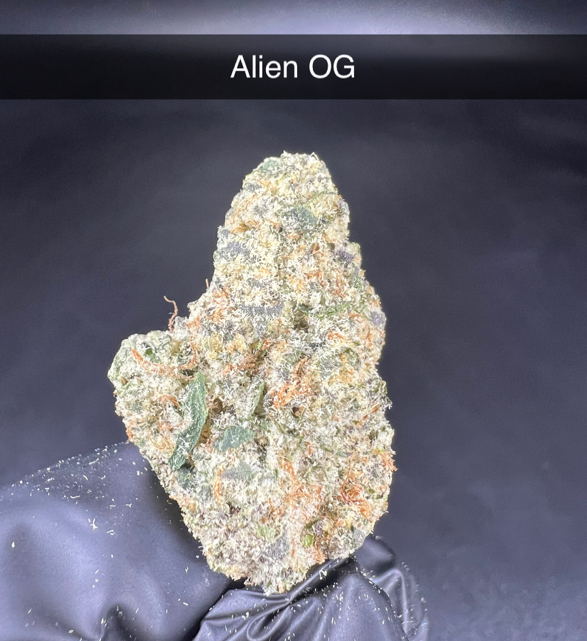 Photograph of product: Alien OG - Flower - Hybrid - 28g