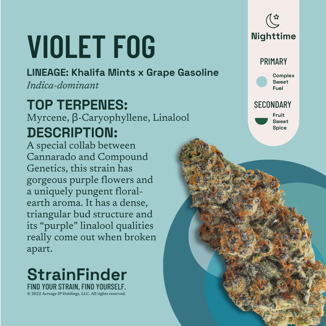 Photograph of product: Violet Fog I 3.5g I The Botanist