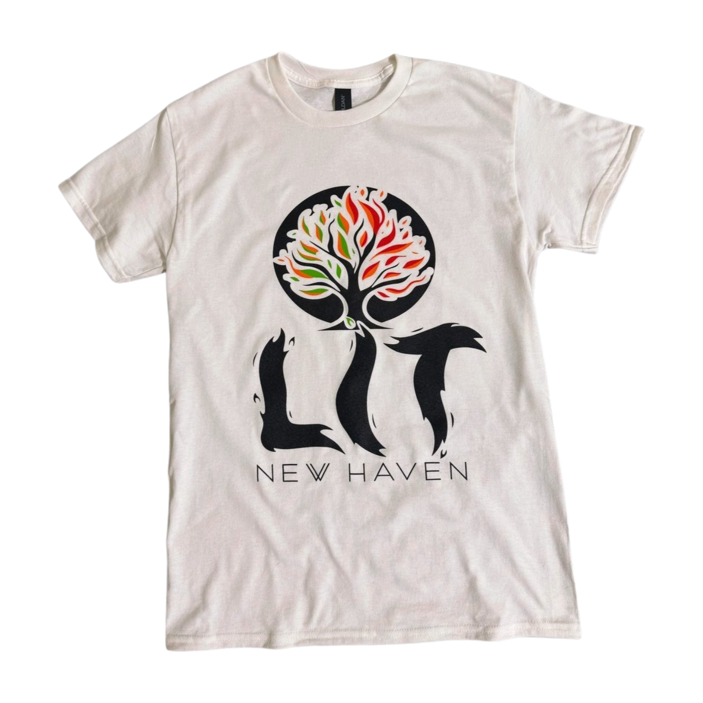 Photograph of product: LIT | Tee | T-Shirts | White (3XL)