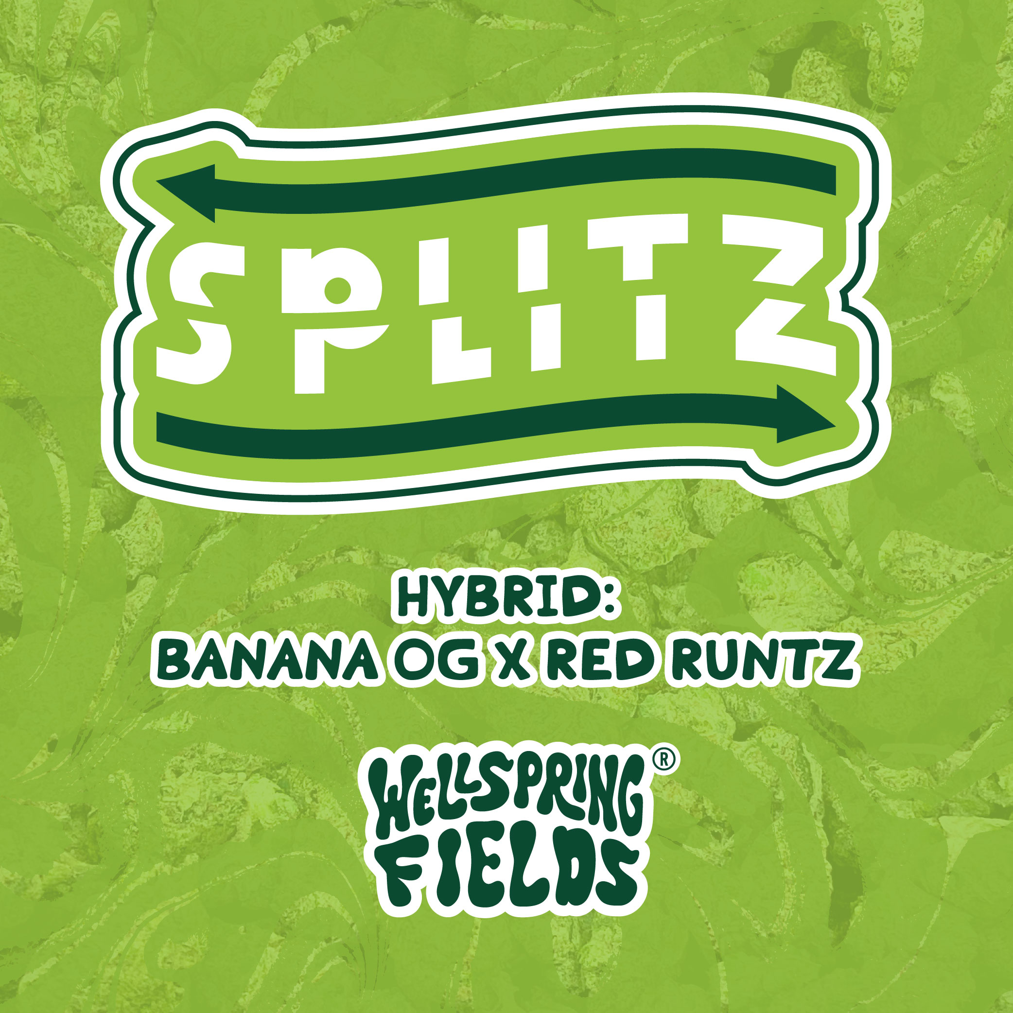 Photograph of Product: Wellspring Fields | 0.84g | Concentrates | Live Resin | Splitz