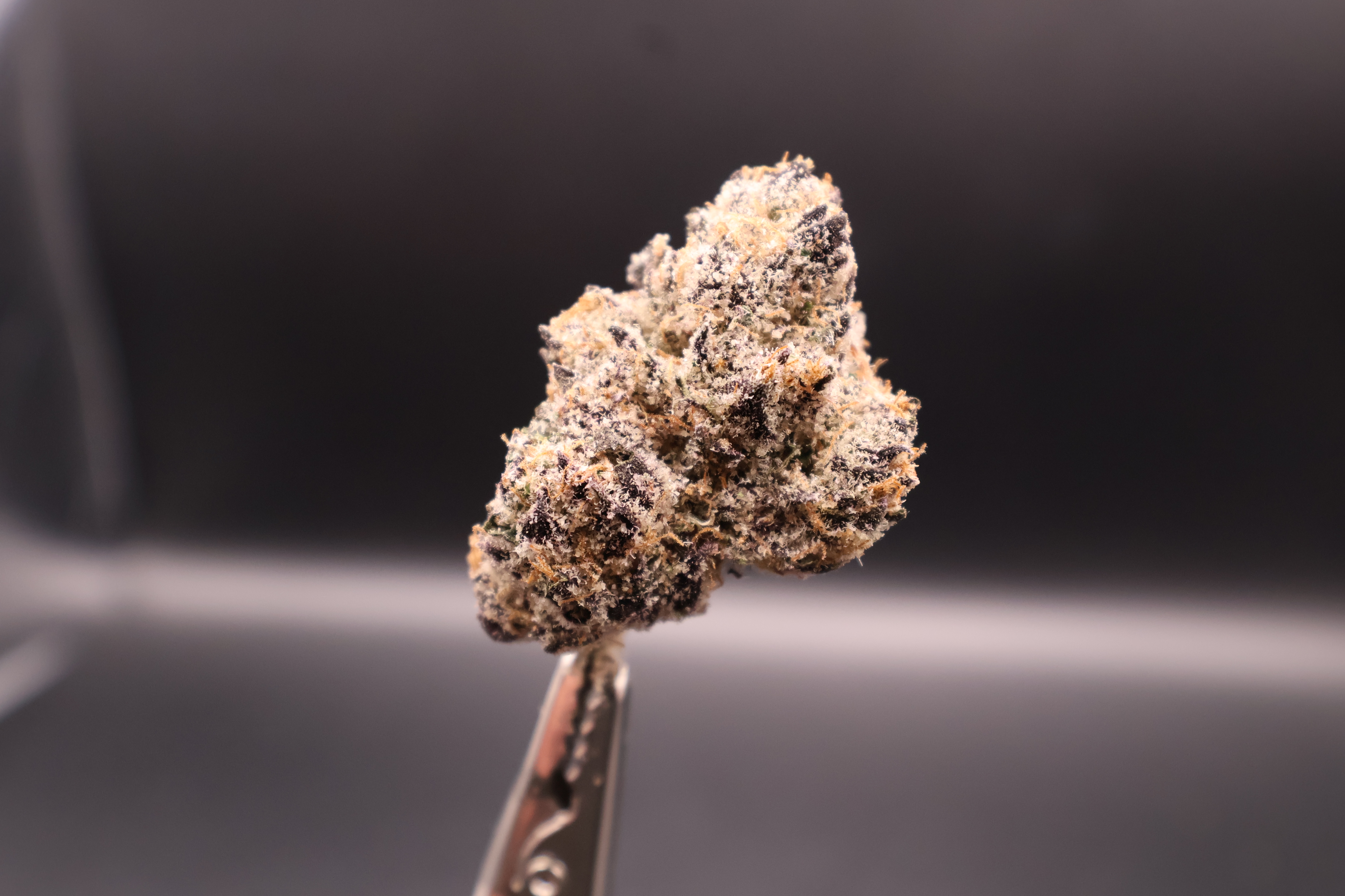 Photograph of product: OMG Pre-Roll (Deep Creek)