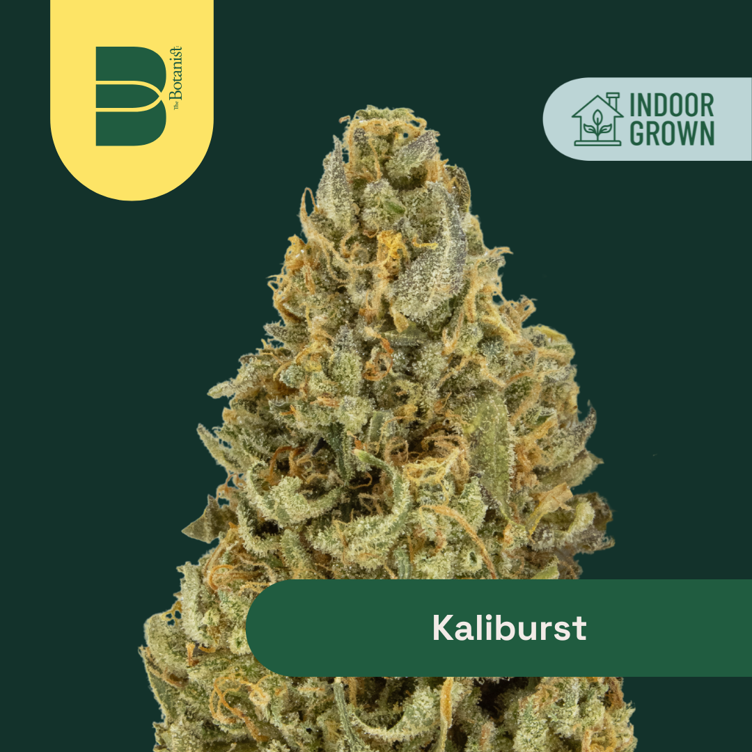 Photograph of product: Flower - Kaliburst - 14g