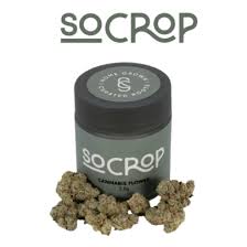 Photograph of product: Southern Crop |  | E85 | Hybrid - 1g