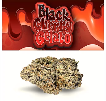Photograph of product: Cookies Flower 3.5g- Black Cherry Gelato (H)