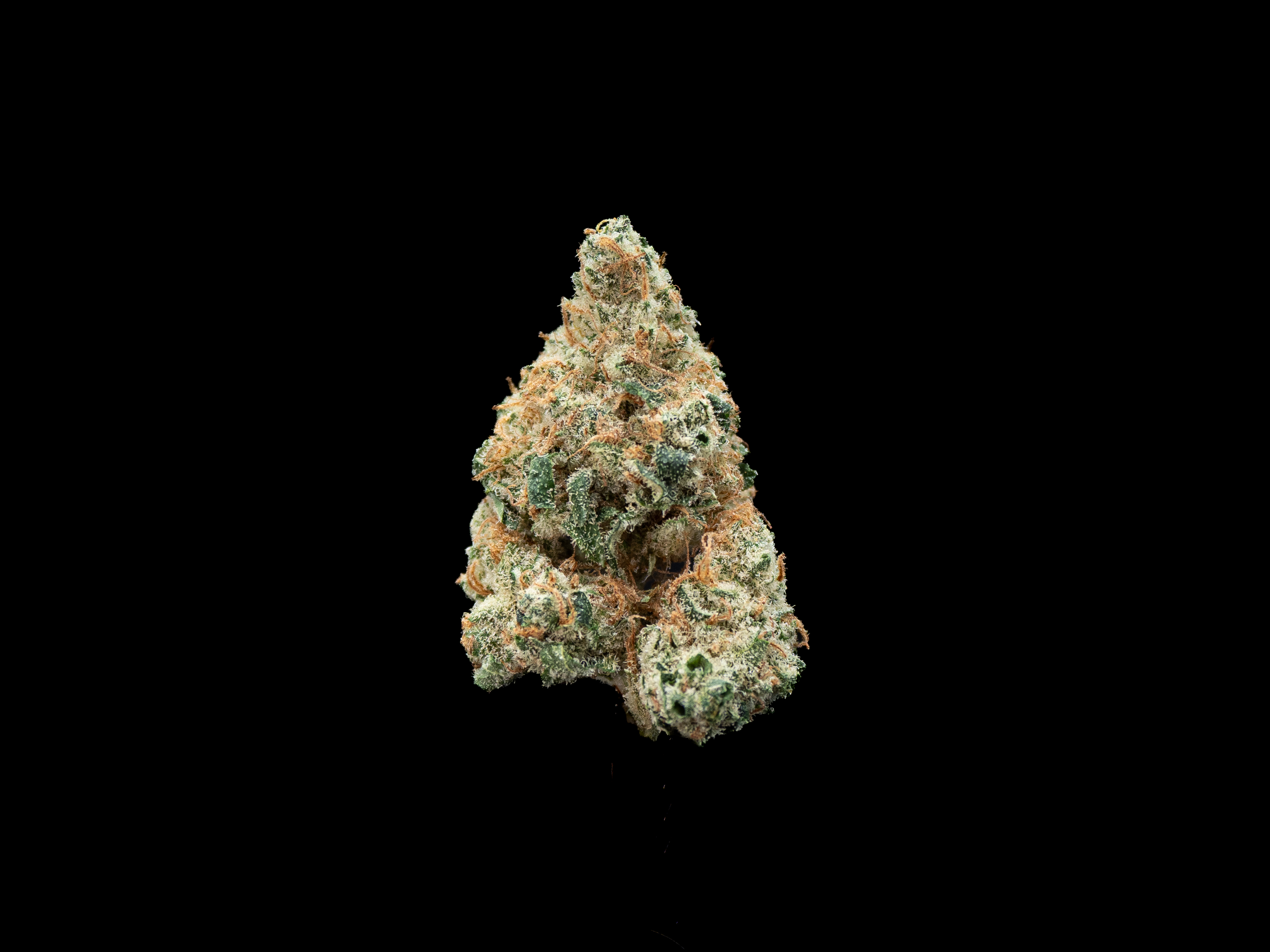 Photograph of product: Smugglers Notch Sour - Bulk Flower - 28g