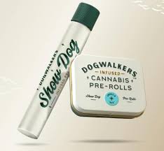 Photograph of product: Dogwalkers | Cereal Milk x Zack's Cake IPR
