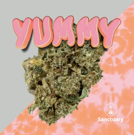 Photograph of product: Small Bud | *HIGH CBD* Yummy  | 3.5g